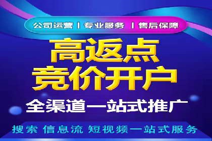 案例解析：网络推广竞价技巧